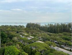 Meyer Road (D15), Condominium #548079941